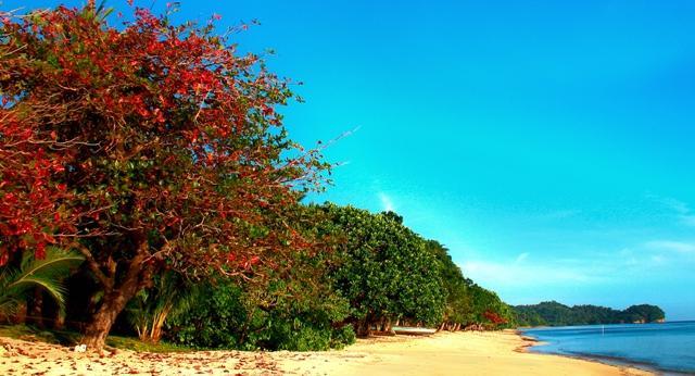 Mamangal Beach